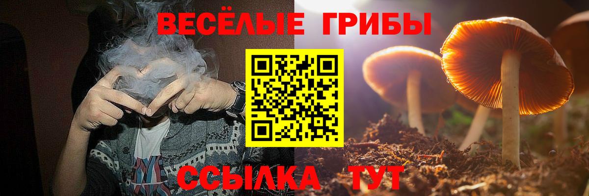 Зима  Псилоцибиновые грибы MAGIC MUSHROOMS  Вход с VPN 