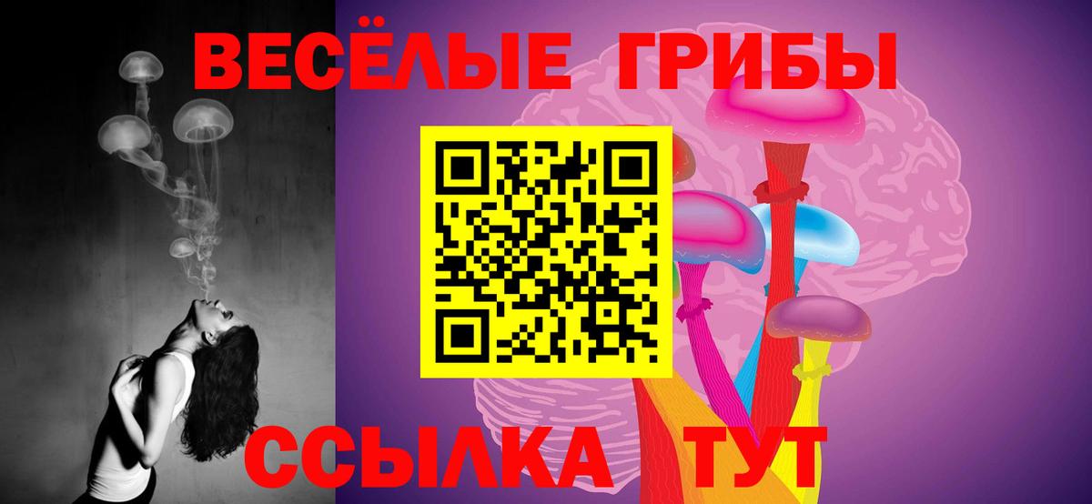 Галлюциногенные грибы MAGIC MUSHROOMS Зима
